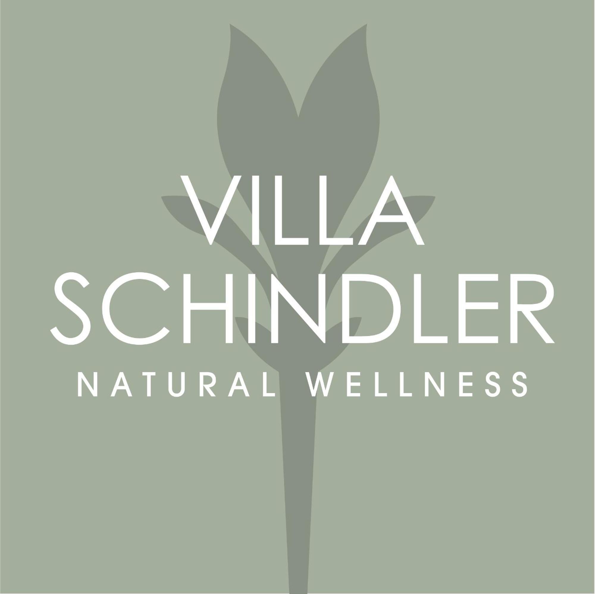 Villa Schindler 마네르바 델 가르다 외부 사진